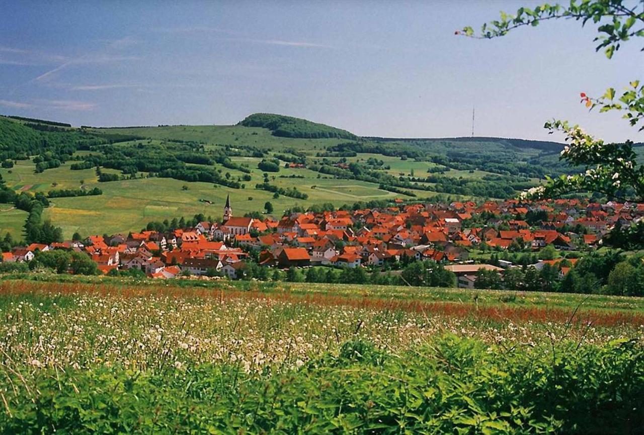 Rhoener Landhotel Haus Zur Wasserkuppe Ehrenberg  Екстериор снимка