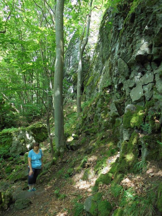 Rhoener Landhotel Haus Zur Wasserkuppe Ehrenberg  Екстериор снимка